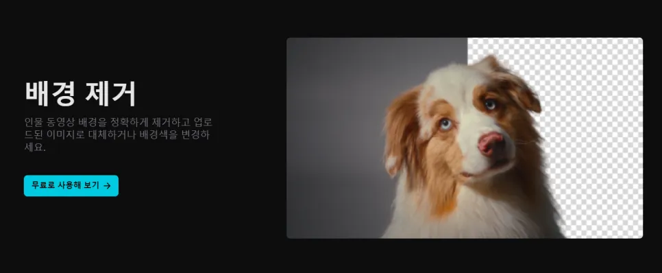 홍보 동영상! 설명 이미지 6